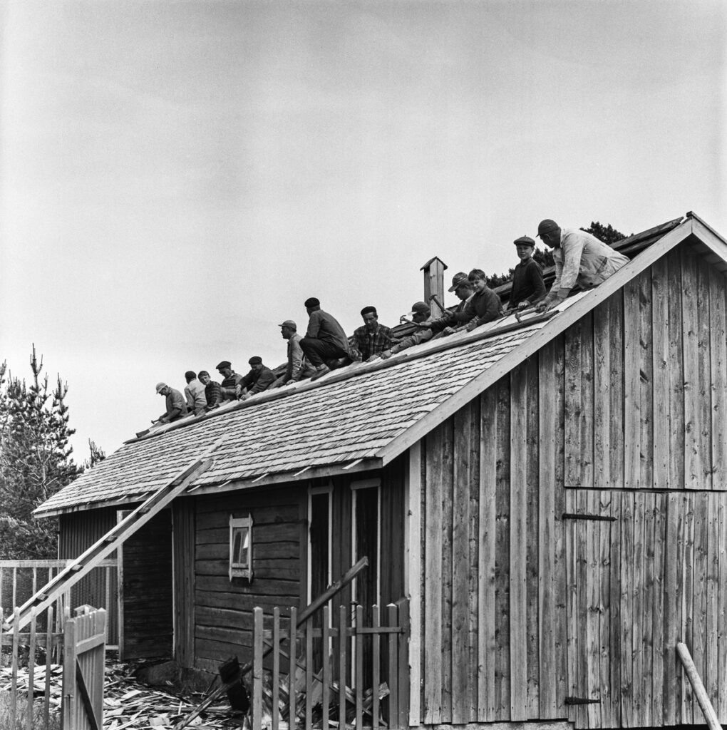 Poikia ja miehiä rivissä naulaamassa pärekattoa. Kuva: Helge Heinonen, Museovirasto